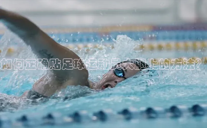 beat365安卓版下载文心一言