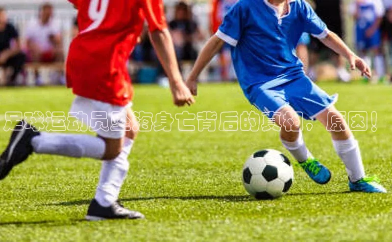 beat365·体育官网百度学术