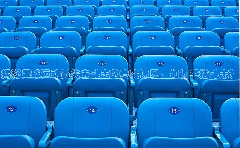 beat365 手机版官方网站网易