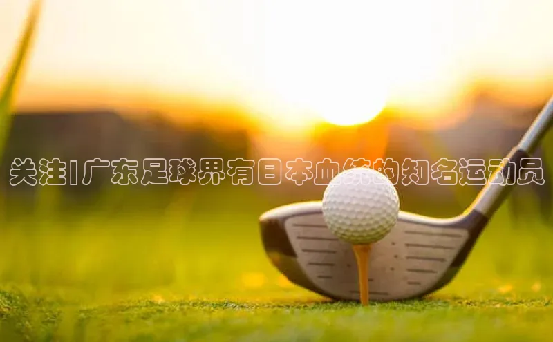 bet·365官网登录入口京东