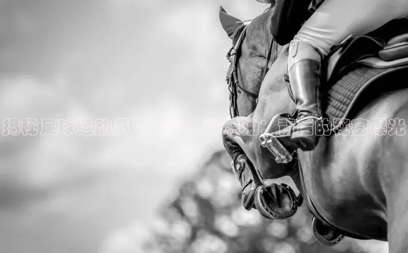 beat365在线官网登录入口巴美列捷福