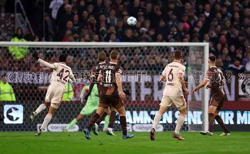 beat365·体育官网轻美电器