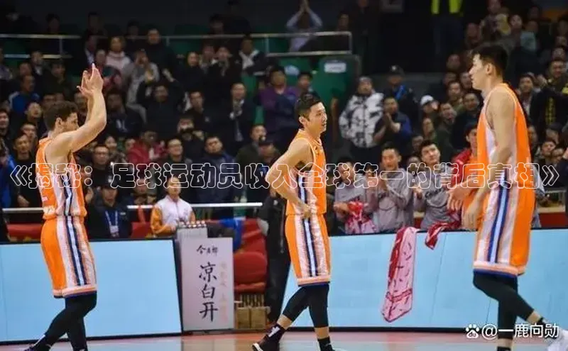 beat365·体育官网光魔科技