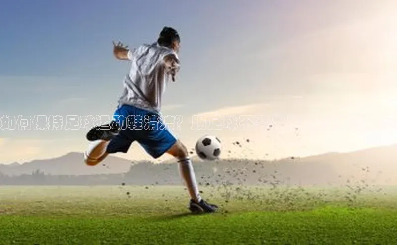 365英国官网登录入口中文在线