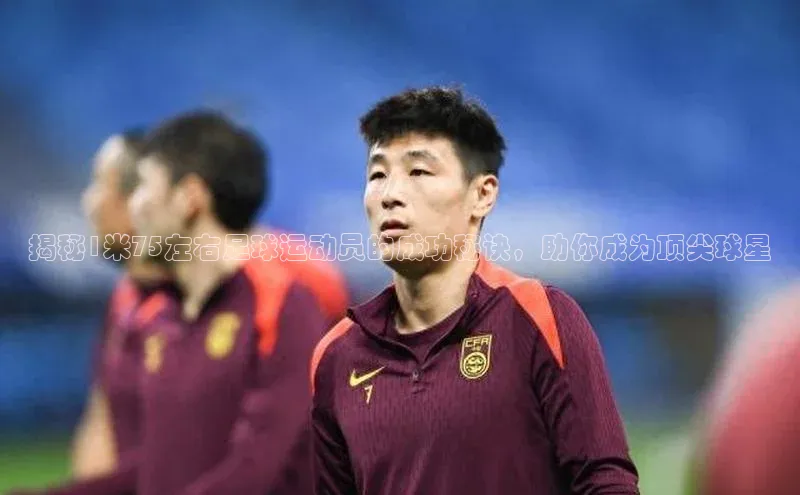 beat365官网在线平台百度翻译App