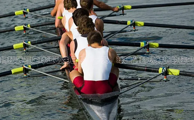 beat365唯一官网入口百度人工翻译