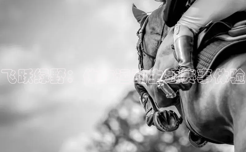 beat365亚洲体育在线官网金山办公